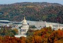 capitol picture