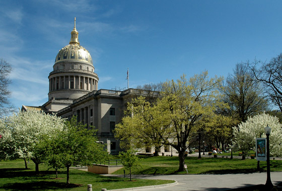 capitol picture