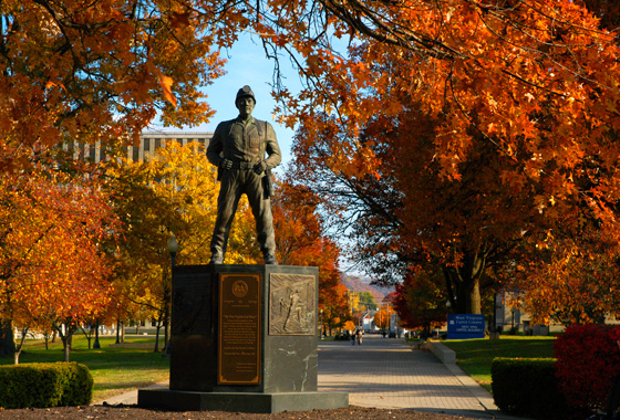 capitol picture