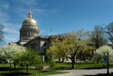 capitol picture